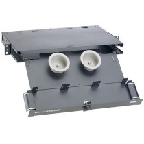 Panduit Gabinete para Sostener hasta 3 Paneles de Adaptadores FAP o FMP, 1RU - Envío Gratis