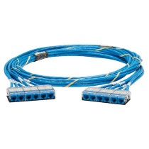 Panduit Cable Patch Cat6 UTP 6x RJ-45 Hembra - 6x RJ-45 Hembra, 6.1 Metros, Azul - Envío Gratis